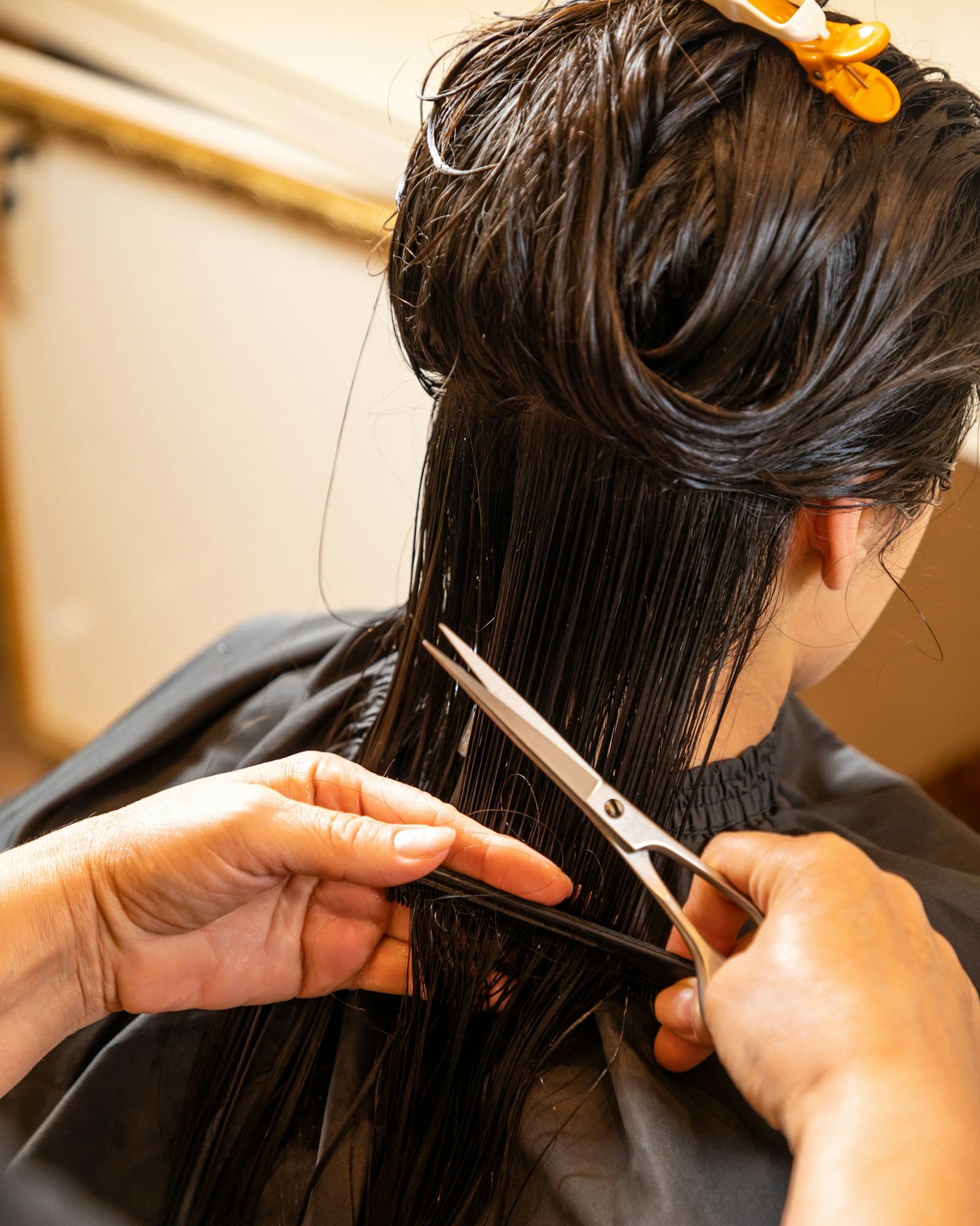 Hairstylist cutting a client's hair in a salon